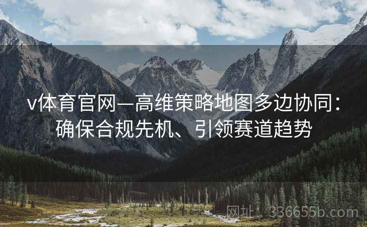 v体育官网—高维策略地图多边协同：确保合规先机、引领赛道趋势