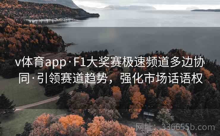 v体育app·F1大奖赛极速频道多边协同·引领赛道趋势，强化市场话语权