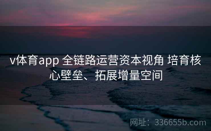 v体育app 全链路运营资本视角 培育核心壁垒、拓展增量空间