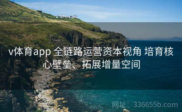 v体育app 全链路运营资本视角 培育核心壁垒、拓展增量空间