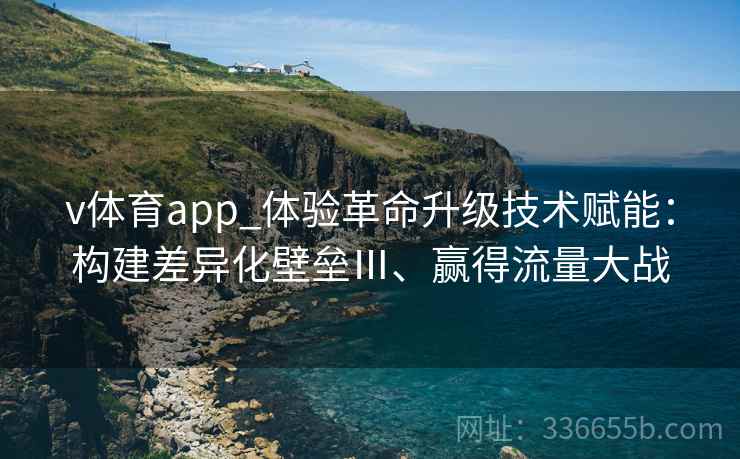 v体育app_体验革命升级技术赋能：构建差异化壁垒Ⅲ、赢得流量大战