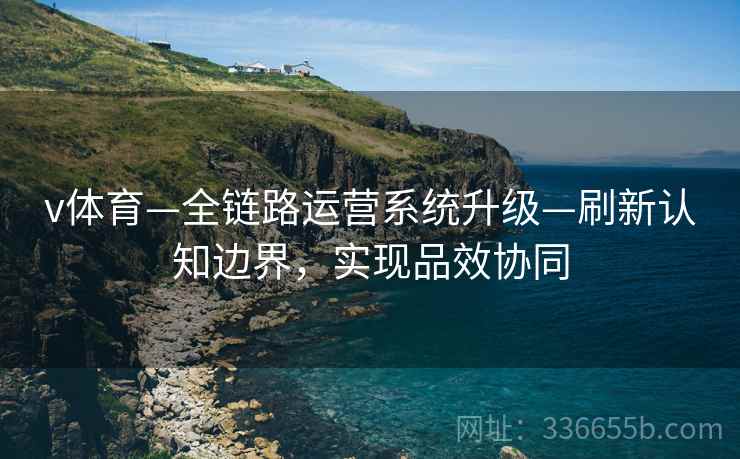 v体育—全链路运营系统升级—刷新认知边界，实现品效协同